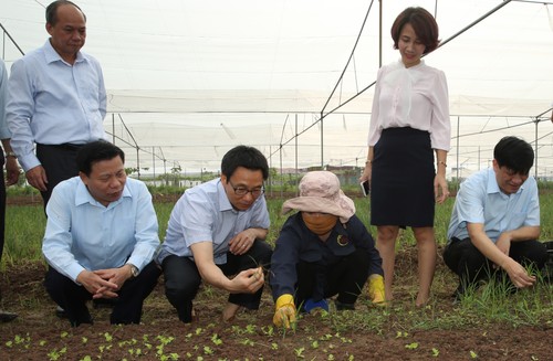 Deputy PM Vu Duc Dam works in Bac Ninh on food safety, hygiene - ảnh 1